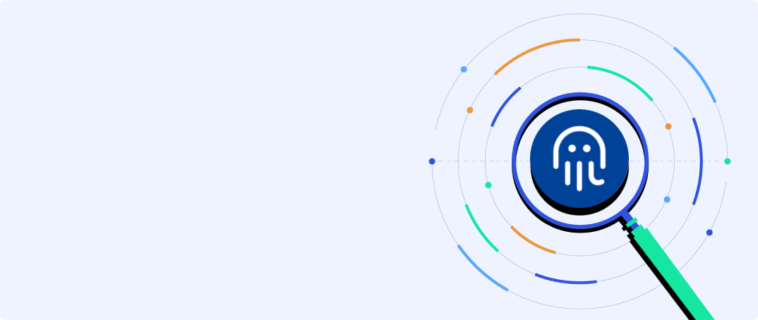 Oct network. Oct network