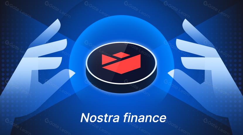 關於諾斯特拉金融（Nostra Finance）你需要知道的一切（2025）