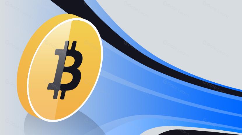 Bitcoin’in En Büyük Alıcıları Neden Birikim Yapmayı Bıraktı?