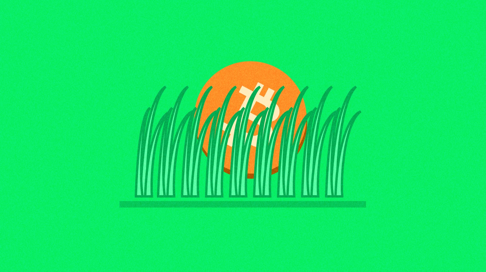 Wie erkennen Sie, ob Sie ein „Leek“ (unerfahrener Anleger) sind?