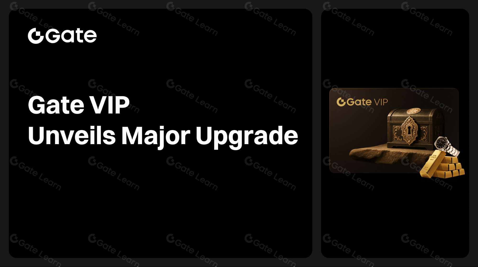 Gate VIP công bố nâng cấp lớn để xây dựng một mạng lưới dịch vụ người dùng cao cấp toàn diện