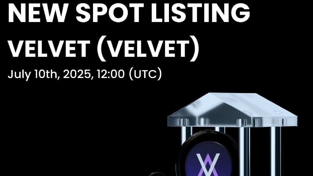 🌟Gate en vivo | Tarea de Bonificación - CANDYDROP, Revisión del Proyecto VELVET!!!